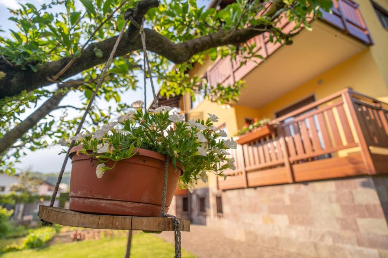 B&B Nonno Carlo Τρέντο Εξωτερικό φωτογραφία